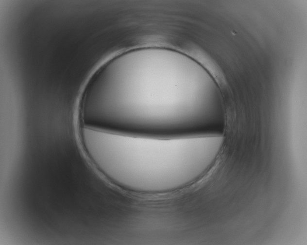 X0000102311142200807251036