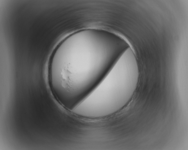 X0000102311147200807251036