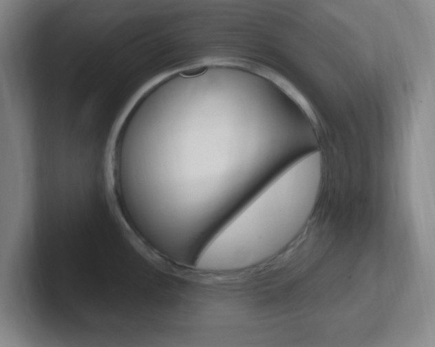 X0000102311148200807251036