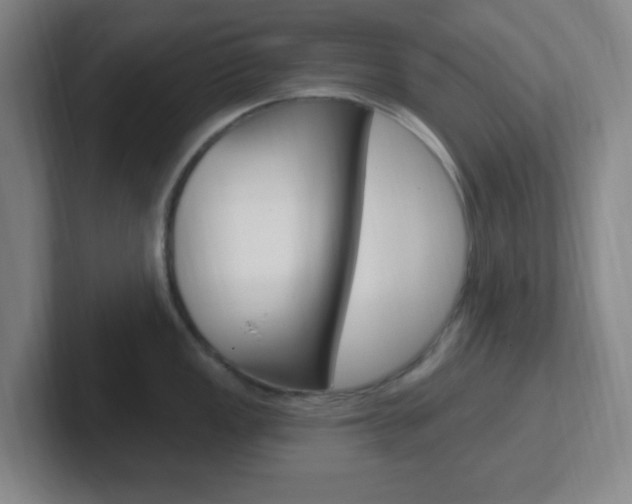 X0000102311149200807251036