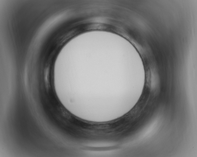 X0000102311150200807251036