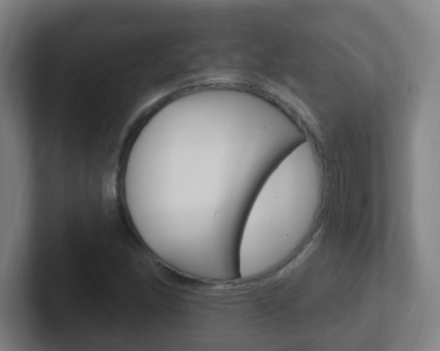 X0000102311166200807251035