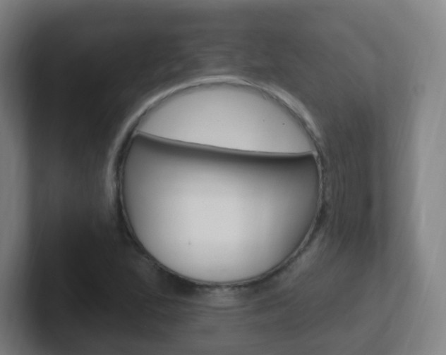 X0000102311167200807251035