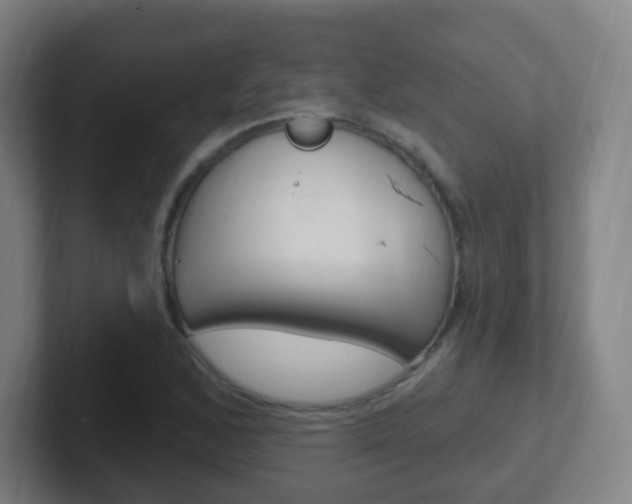 X0000102311168200807251035