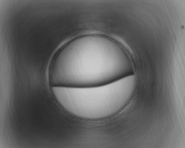 X0000102311173200807251035