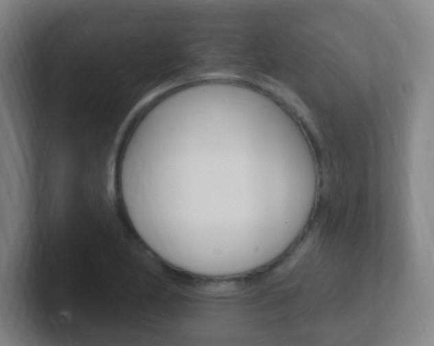 X0000102311174200807251035