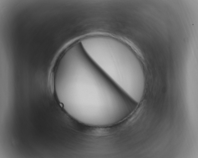 X0000102311175200807251035