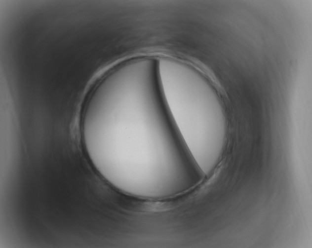 X0000102311176200807251035