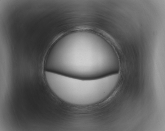X0000102311177200807251035