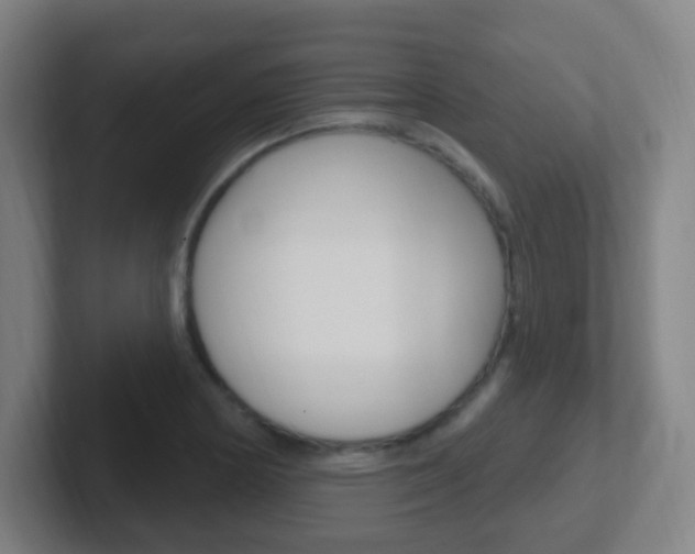 X0000102311178200807251035