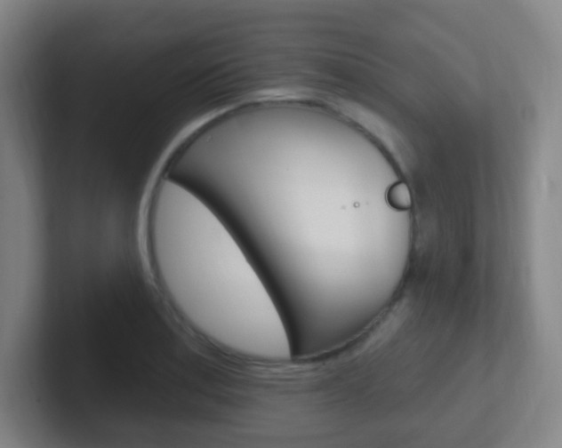 X0000102311179200807251035