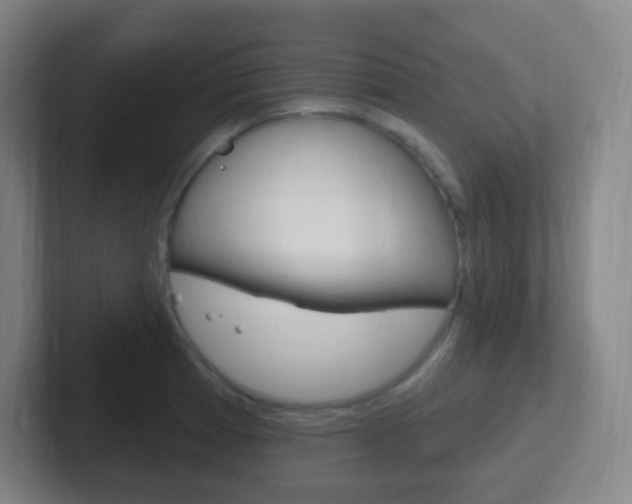 X0000102311185200807251035