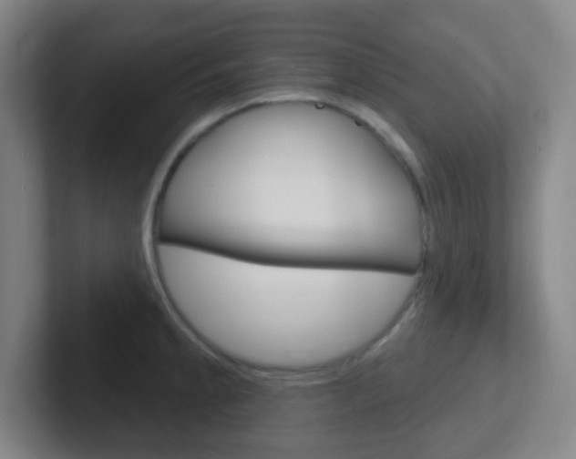 X0000102311189200807251035
