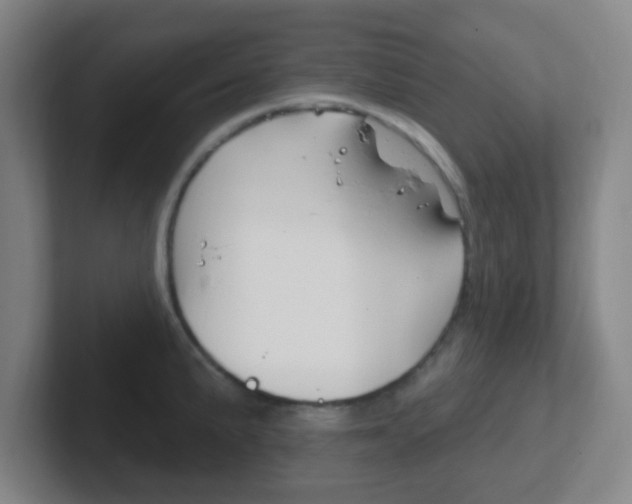 X0000102311191200807251035