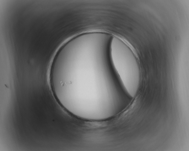 X0000102311197200807251035