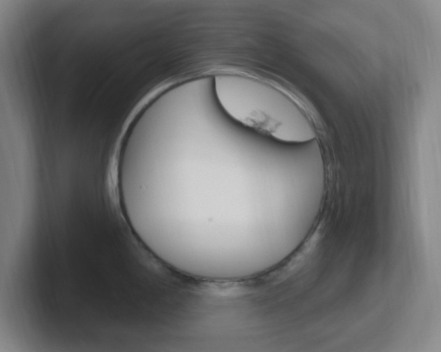 X0000102311198200807251035