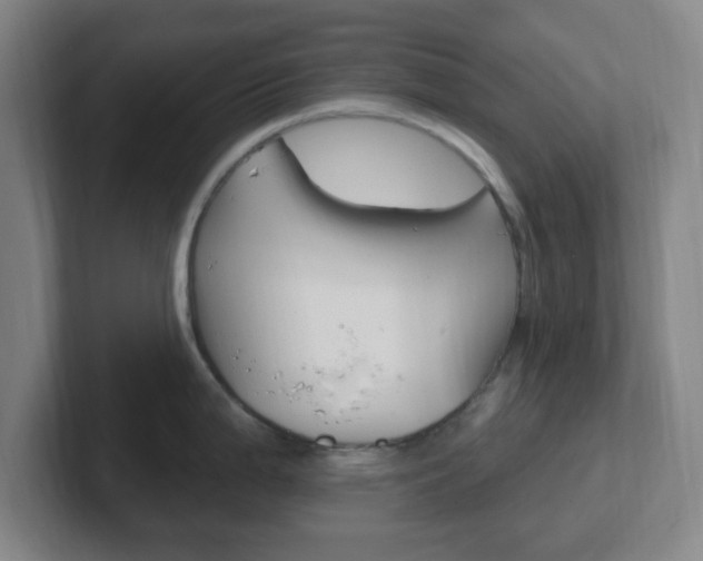 X0000102311199200807251035