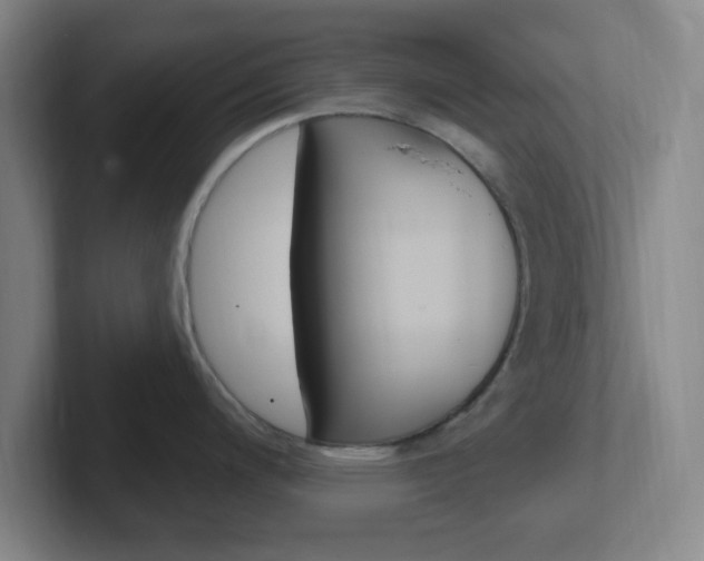 X0000102311200200807251035