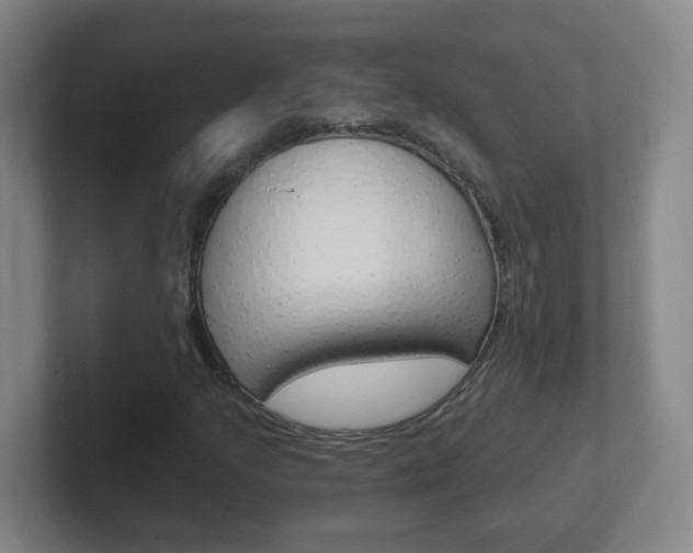 X0000102311205200807251034