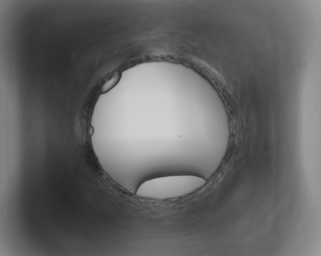 X0000102311207200807251034