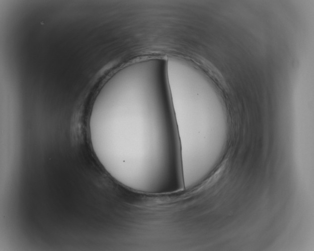 X0000102311210200807251034