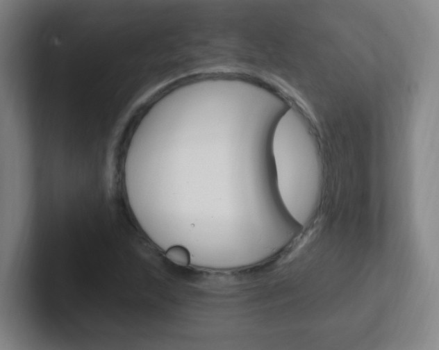 X0000102311215200807251034