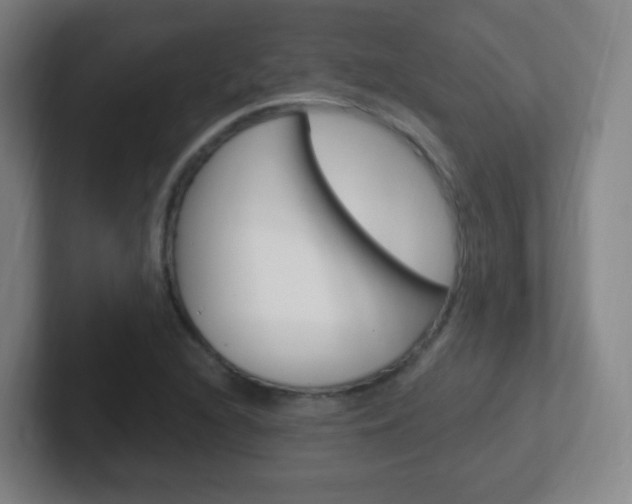 X0000102311216200807251034