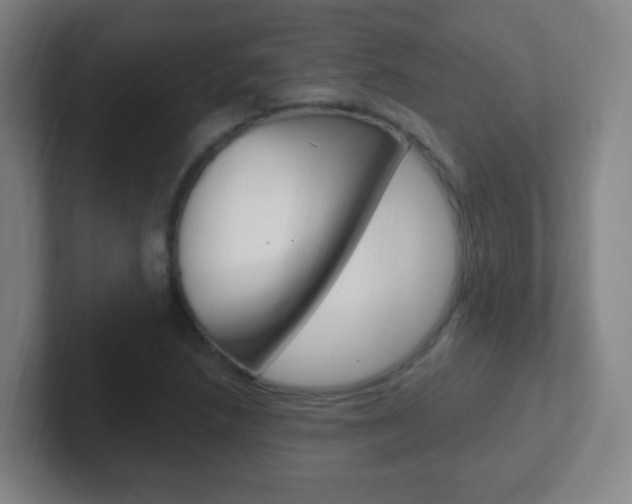X0000102311218200807251034