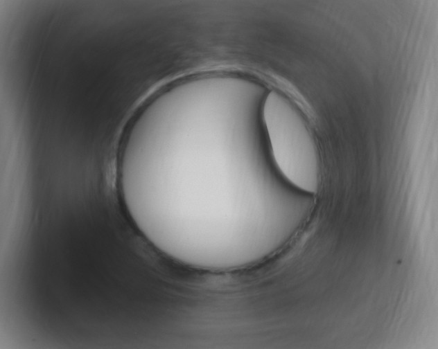 X0000102311220200807251034