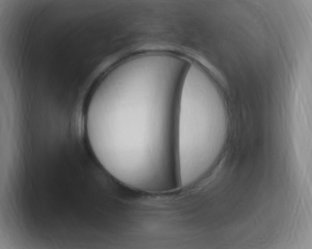 X0000102311221200807251034