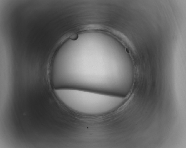 X0000102311225200807251034
