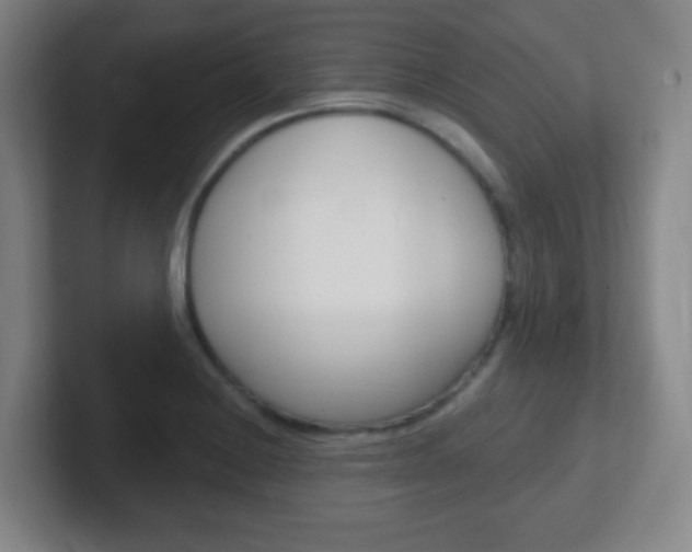 X0000102311228200807251034