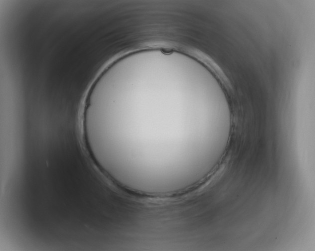 X0000102311236200807251034