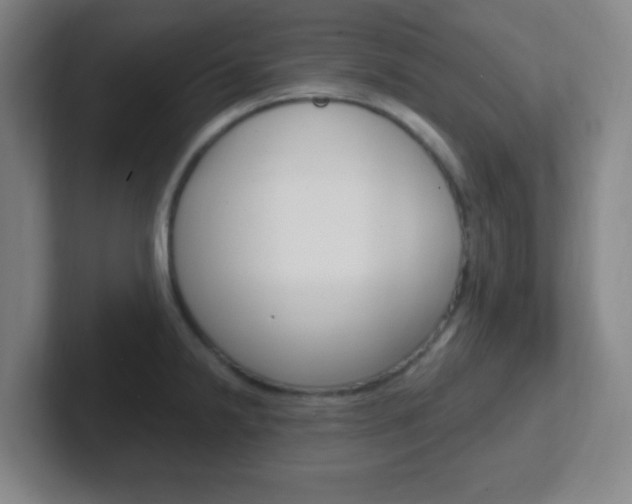 X0000102311238200807251034