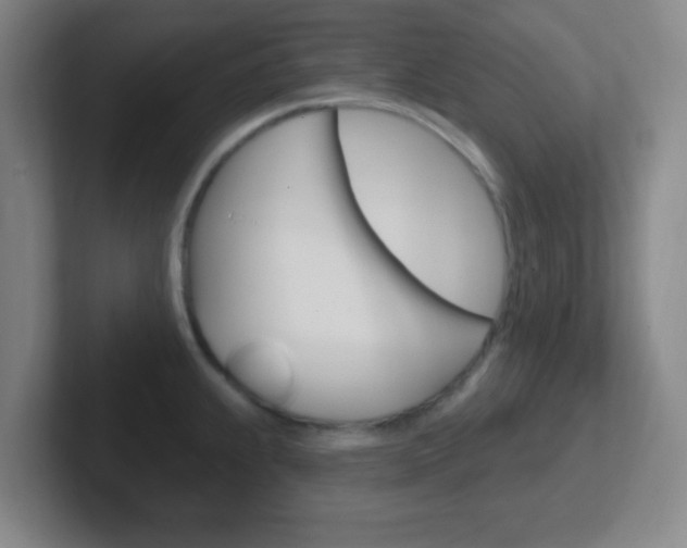 X0000102311239200807251034