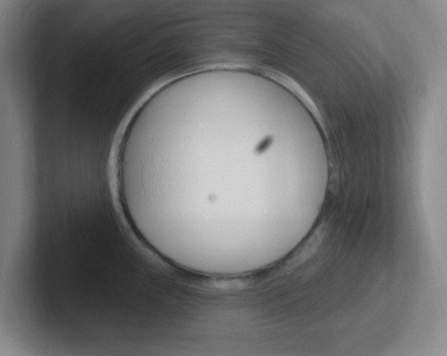 X0000102311243200807251035