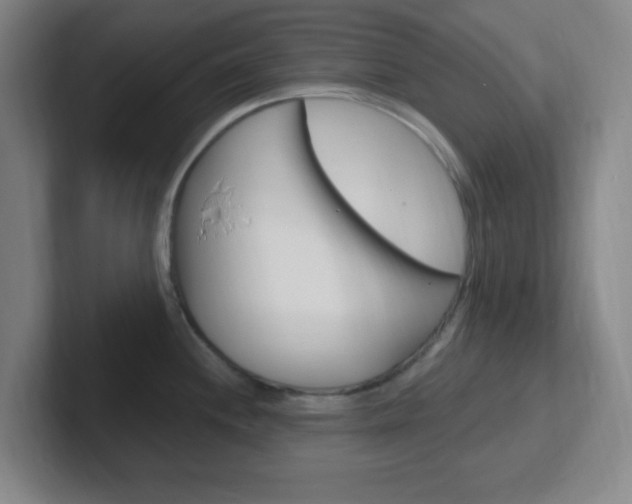 X0000102311244200807251035