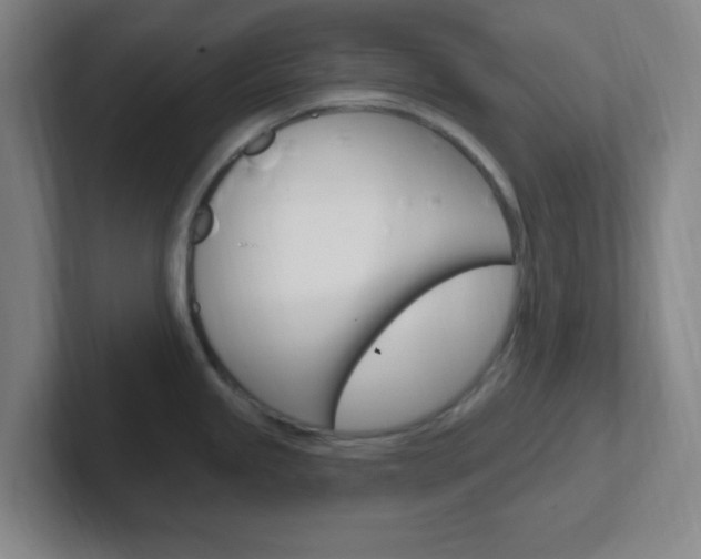 X0000102311245200807251035