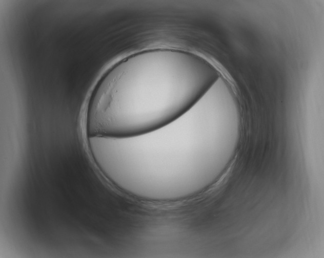 X0000102311246200807251035