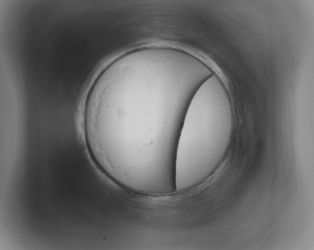X0000102311247200807251035