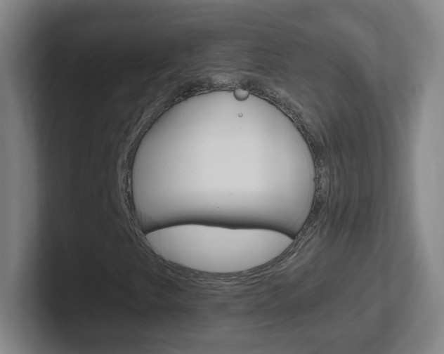 X0000102311249200807251034
