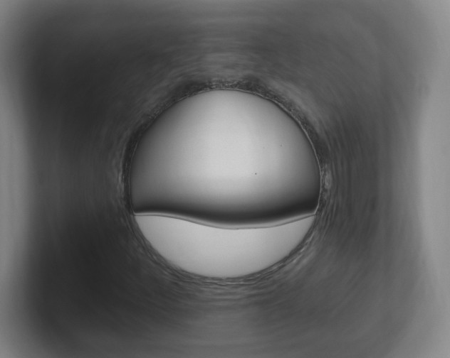 X0000102311252200807251034