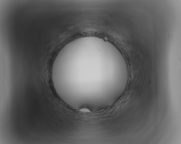 X0000102311253200807251034