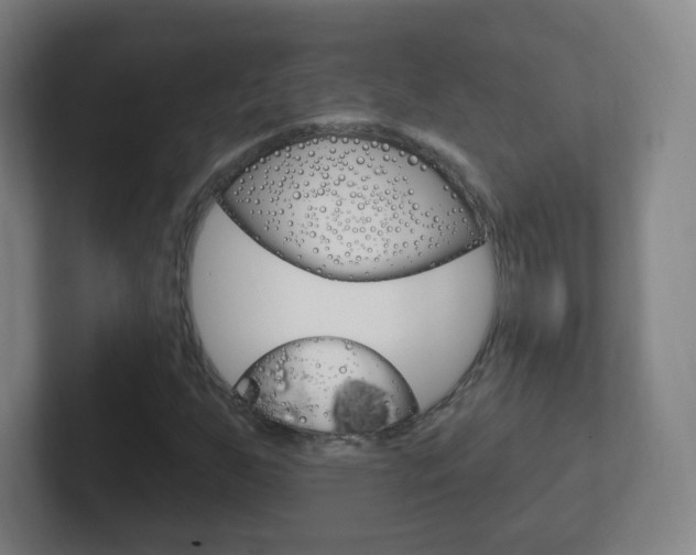 X0000102311255200807251034
