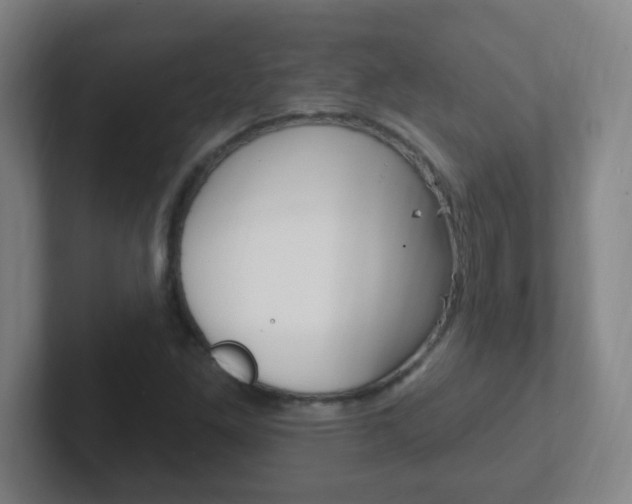 X0000102311261200807251034