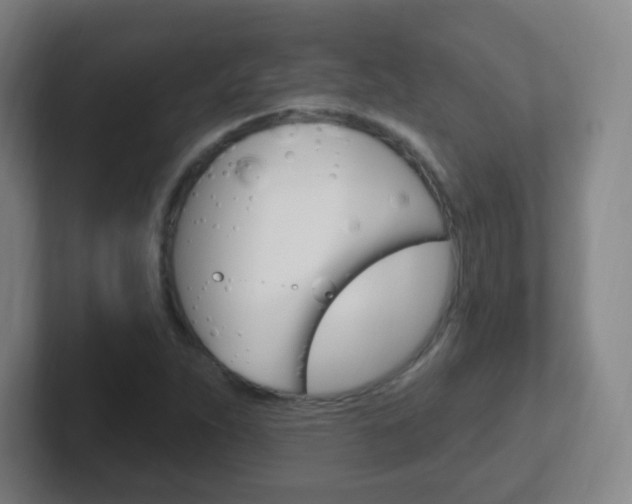 X0000102311263200807251034