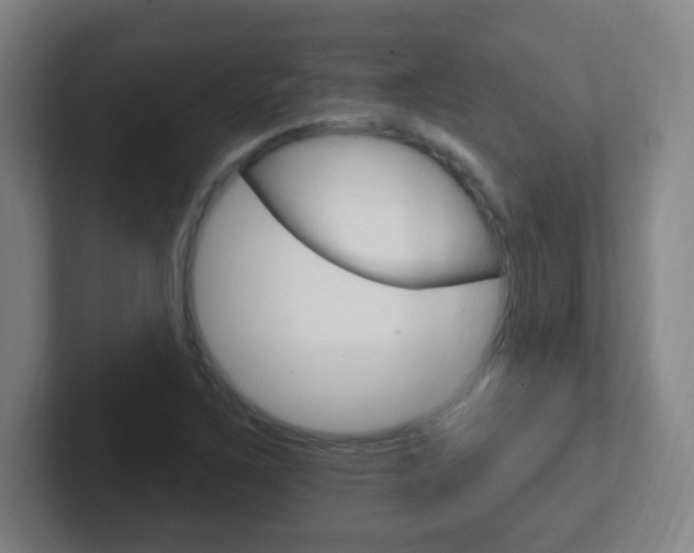 X0000102311267200807251034