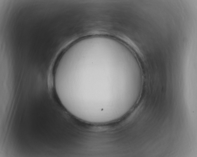 X0000102311269200807251034