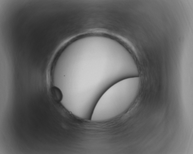 X0000102311271200807251034