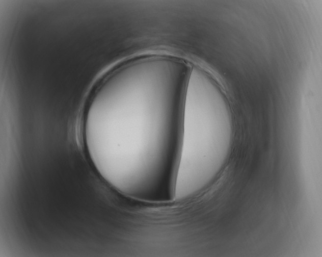 X0000102311272200807251034